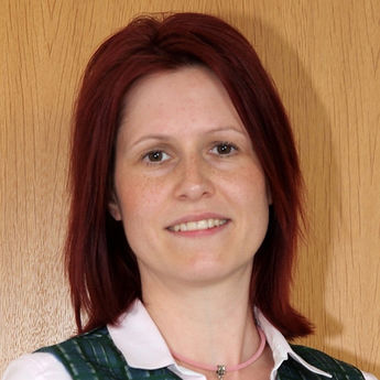 DI Birgit Heidinger DI Birgit Heidinger